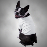 Pet Clothing - Learn More